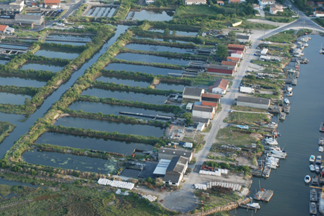 Entreprise Les Océanes à Gujan-Mestras